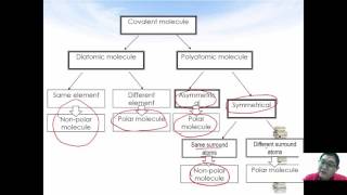 STPM Sem 1  Alevel  Chapter 3  Chemical Bonding  07 [upl. by Ettenyar]