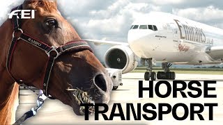 How the horses travel to the FEI World Equestrian Games™  Tryon 2018 [upl. by Aisiram]