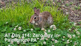 AT Thru Hike Day 114 Zero Day in Palmerton PA [upl. by Katonah]