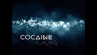 Dj Hasan Can  Cocaine [upl. by Sawyere]