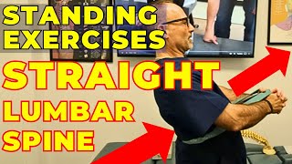 2 EASY Standing Exercises For Straightening Of Lumbar Spine  Dr Gregory Kramer [upl. by Oderf]