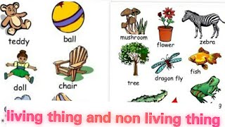 how to differentiate between Living thing and non living thing examples of living amp nonliving thing [upl. by Akenet]