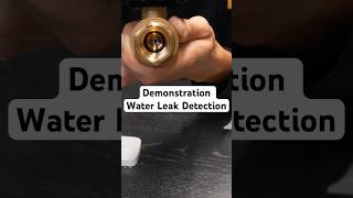 Water Leak Detection Demonstration [upl. by Nimra506]