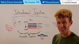 How Intradermal Injection Works [upl. by Farant]