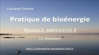 niveau 1 exercice 3  la relaxation  Laurent Chanet [upl. by Hamfurd72]