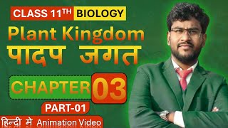 Plant kingdomपादप जगत class 11th  Chapter 3 in Hindi PART 1 by ravi sir ravibiology ravisir [upl. by Salman]