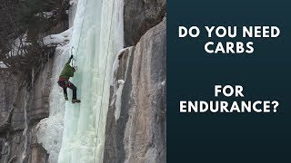 Do You Need Carbohydrates for Endurance Training The Carnivore Diet and Energy Levels [upl. by Spiros]