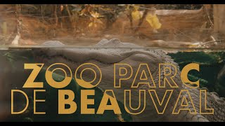 ZOO PARC DE BEAUVAL  2023 [upl. by Hobard327]