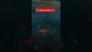 Diwali Fireworks 🎆🎇 shorts shortvideo fireworks diwalicelebration [upl. by Nirag]