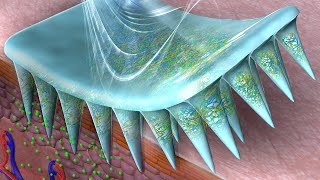 MicroneedleArray Patch with EnzymeFree Polymeric Components for OnDemand Insulin Delivery [upl. by Brenan]