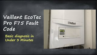 Vaillant EcoTec F75 Fault Code  Basic Diagnosis in 3 Minutes [upl. by Aldred314]