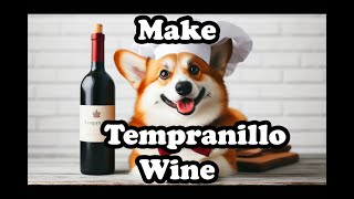 Recipe Make Tempranillo Wine [upl. by Philana]