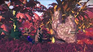 No Mans Sky Planet Show Case Red Gem [upl. by Nwahsauq]