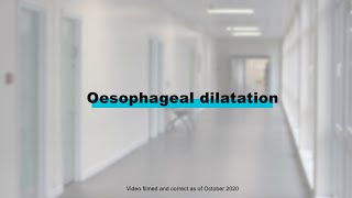 Endoscopy Procedures  Oesophageal Dilatation [upl. by Stevana]