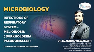 Microbiology  Melioidosis  Burkholderia pseudomallei  Raaonline [upl. by Nwadahs121]