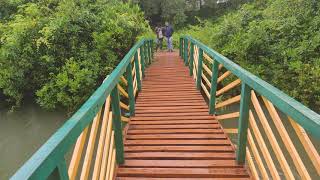 Sharavathi Kandla Mangrove boardwalk Honnavara [upl. by Eralcyram]