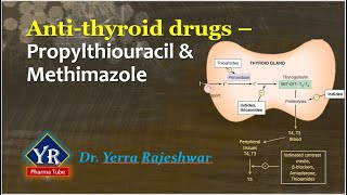 Antithyroid drugs  Propylthiouracil amp Methimazole  YR Pharma Tube  Dr Yerra Rajeshwar  Dr YR [upl. by Maggy]