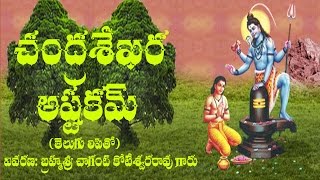 CHANDRASEKHARA ASTAKAM MEANING BY BRAHMASRI CHAGANTI [upl. by Ahseyk]