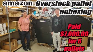 Unboxing a pallet of Amazon Overstock  Pet items Clothing Toys and more [upl. by Aknaib]