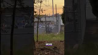 Shocking Diesel Generator Tests Near Gainesville School [upl. by Rainger]