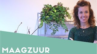 Zwangerschapssymptomen maagzuur  DE VLOGKUNDIGE [upl. by Llydnek]