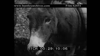 Homefront in rural Somerset in World War Two Archive film 62851 [upl. by Linden]