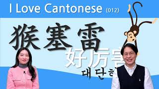 【중콘】  I Love Cantonese 012  쉽고 재미있는 광동어  好犀利  猴塞雷  好厉害 원숭이  广东话  粤语  대단해요  굉장하다  陈依诺 [upl. by Atoiganap]