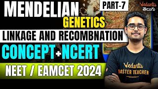 Genetics  Linkage amp Recombination  NCERT Biology  NEETEAMCET 2024  Ajay sir [upl. by Malachy]