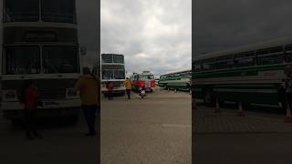 Nejlon Piroska tolat az Aeroparkban ⛅ best ikarus hungary bus busz volánbusz [upl. by Hallsy]