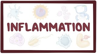 Inflammation  causes symptoms diagnosis treatment pathology [upl. by Nodyarb]