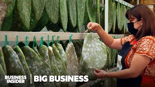 19 Fascinating Jobs You Might Not Know About  Big Business Marathon  Business Insider [upl. by Ern]