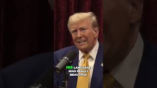 Trump and Rogan Analyze Tariffs vs Income Tax The Economic Reality [upl. by Haisoj470]