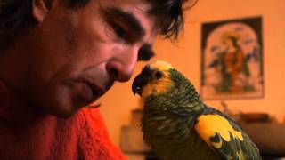 Unbelievable breakfast with my parrot  Happy drivers Gueule de loup Singer Having fun [upl. by Hwang]