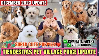 DEC 2023 UPDATED PET PRICE LIST IN TIENDESITAS PET VILLAGE🐶🐱🐾100LEGIT PURE BREEDS MUST WATCH [upl. by Ed]