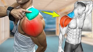 6 Best Traps and Shoulders Combine Exercises [upl. by Hnahym]