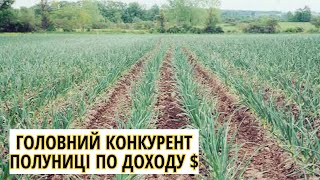 8000 З СОТКИ НА ЧАСНИКУЦЕ РЕАЛЬНІСТЬА НЕ МІФЧасник як БІЗНЕС на ПОЛІССІ [upl. by Ruy]