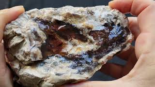 Rough Rocks for Lapidary amp Collectible  Petrified Wood [upl. by Haduj]