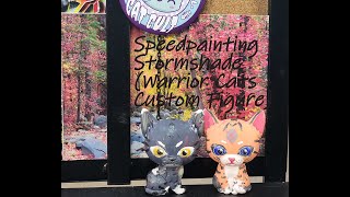 Speedpainting Stormshade Warrior Cats Custom Figure [upl. by Christine]