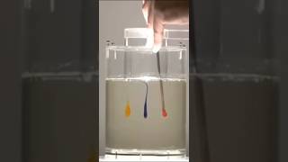 Laminar effect sciencefacts science knowledge facts [upl. by Nnahaid692]