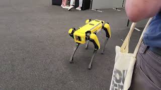 Boston Dynamics Dog Spot [upl. by Juster]