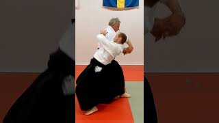 Aikido in slow motion SHIHONAGE omote and ura by Stefan Stenudd [upl. by Grosmark]