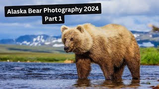 Photographing Brown Bears in Wild Alaska Part 1 The beginning of an AMAZING adventure [upl. by Akel909]