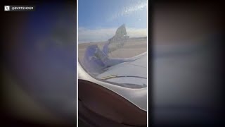 Engine covering falls of Boeing plane hits wing flap during Southwest flight [upl. by Euqinue]