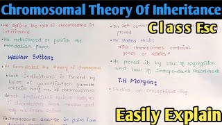 Chromosomal Theory Of Inheritance  Class 12 Biology [upl. by Eriam]