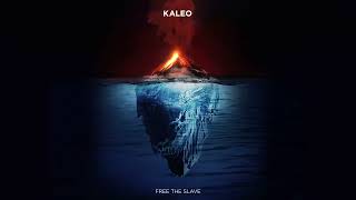 Kaleo  Free the Slave Lyrics [upl. by Idnew840]