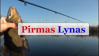 Pirmas Lynas  Gabrielius Ser [upl. by Jerri877]