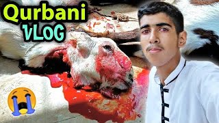 Bakra Eid Vlog 2022 🔥 Qurbani Vlog 😎 Ibrahim Asim Vlogs [upl. by Grossman]