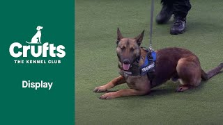 Woof Woof 🐶 Its the Sound of the Police West Midlands Police Dog Team Perform  Crufts 2022 [upl. by Nierman]