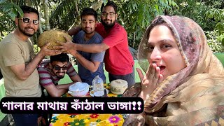 পুরো শশুর বাড়ি দেখতে কেমন শালার মাথায় কাঁঠাল ভাঙলো জনতার ইব্রাহিম ভাইJF DISHA VLOGSBengali [upl. by Fayre]