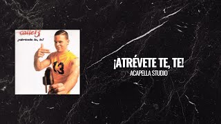 ¡Atrévete Te Te  Calle 13 Acapella Studio [upl. by Arnst178]